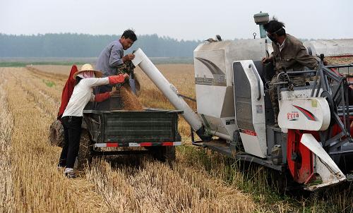 �Ȼ���æ����