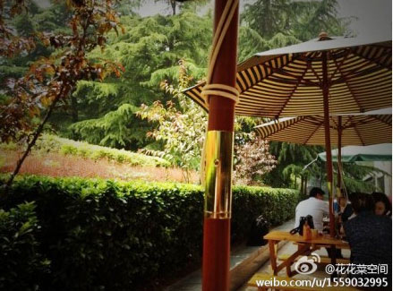 �������ֵ�������������