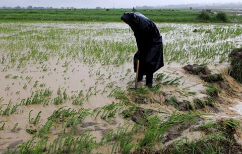 �����Ȫ��������ǿ���걩��Ϯ������ͼ��