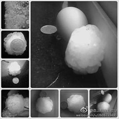 �����������ֵ��������Ϯ�� 7����ӭ����