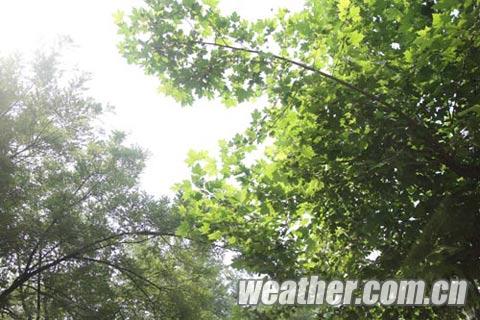 �ӱ������»��� ���ϲ����¡����顱����