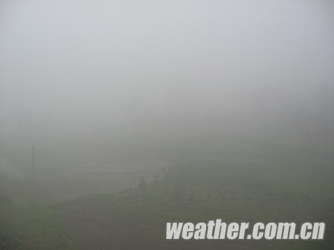 �Ͱ��񳿳���Ũ�� δ��������������