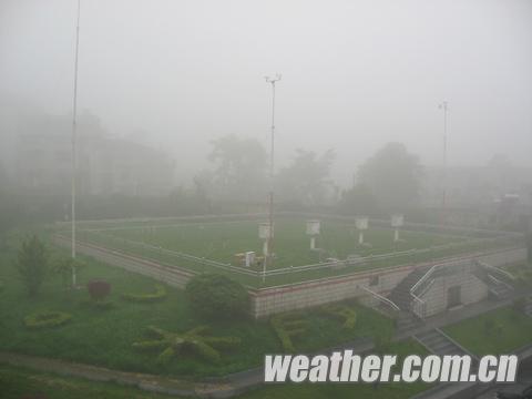 �Ͱ��񳿳���Ũ�� δ��������������