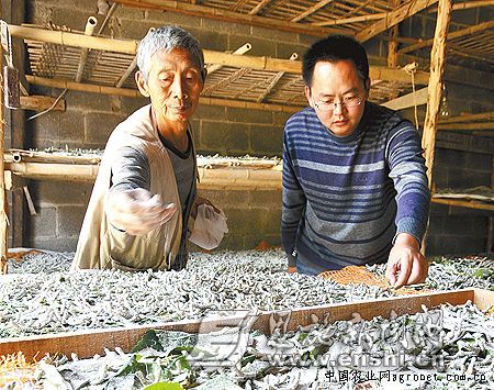 �����Ͷ�����ҵ��ƶ��ũ����Ǯ����