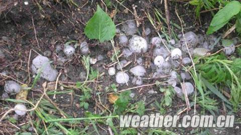 ���������ϳ��ֱ������������� ũ������