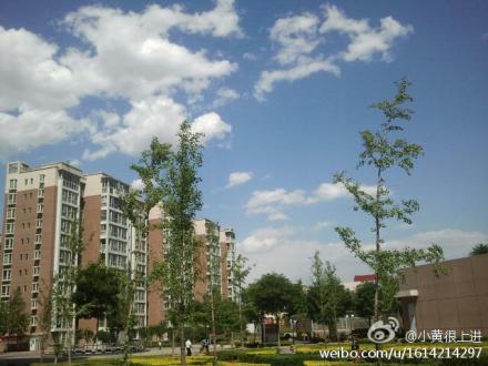 ����11����󱱲���������