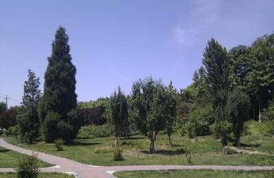 ����11���������� �����32�����ɹ