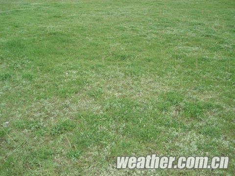 �ຣ���ݳ���ϲ�� ��������������������