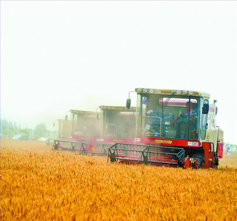 �����������ֽ�ˮ���� ��ӿ����ս���