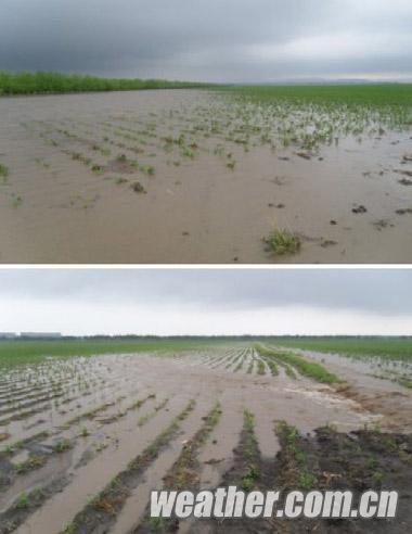 ��������̨������ǿ�������Ϯ�� ��������