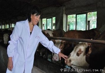 ɽ������۰���ؿ�ѧ������ţ��ũ��