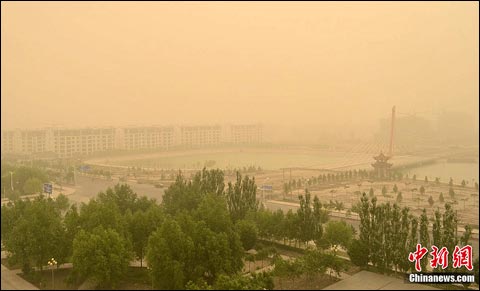 �������ų������������׳���������