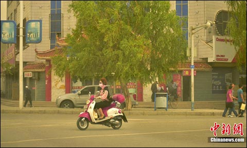 �������ų������������׳���������