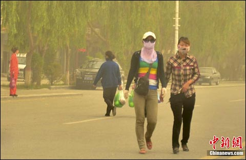 �������ų������������׳���������