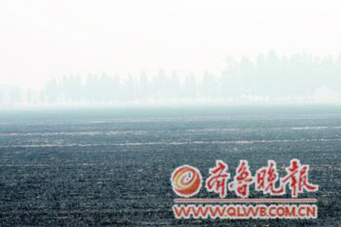 ������յ��¡������Գǡ�