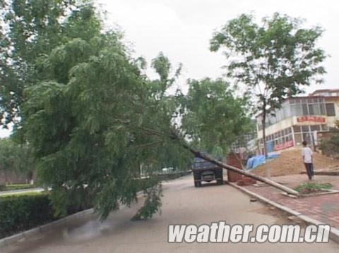 �ӱ����ڶཱུ�� ��ĩ����ת��