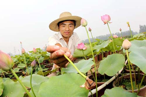 ���������������¥�壺�辰�ɻ���������