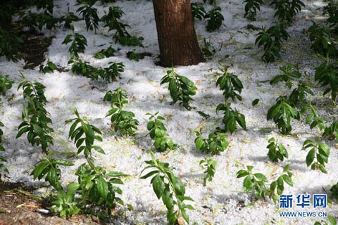 �½�����̩ͻ�������������ͼ��