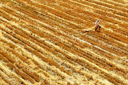 ����δ�������������Խ��� ��������