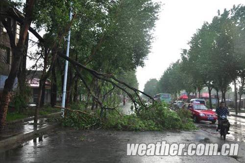 ������ĵ����������Ϯ��