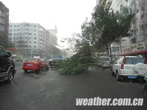 ������ĵ����������Ϯ��