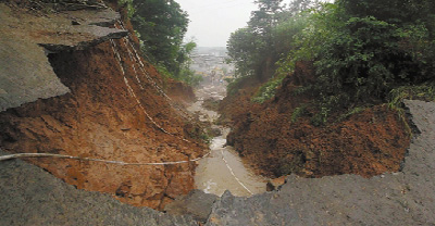 �㽭����һɽ���ֲ����� ��ׯ��Ϊ�ཬ��