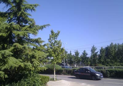 ����������������������������35��