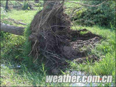 ���ִ���ͻ��������Ϯ�� ��������������