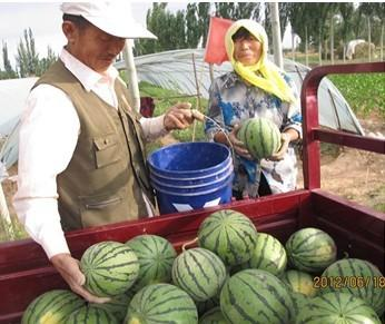 �����γ��������½������