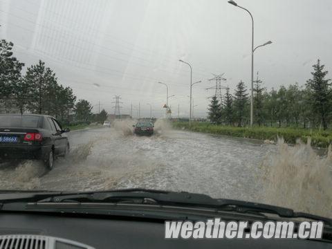 ���ֶ���Ⱪ��Ϯ�� �ֵ�������