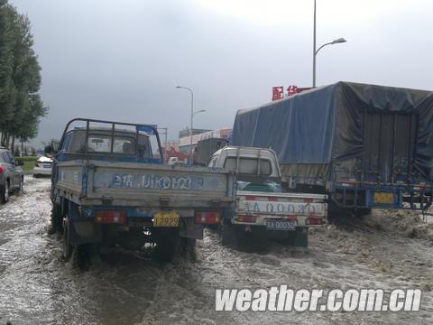 ���ֶ���Ⱪ��Ϯ�� �ֵ�������