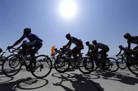 �������׽�����������������