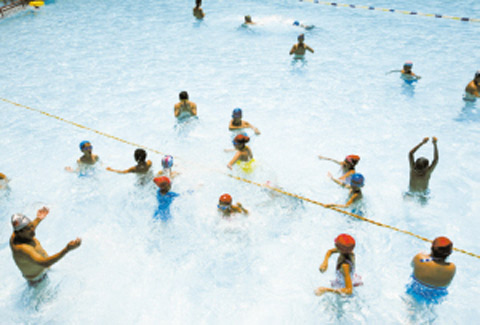 11��ʯ��ׯ�����ա�39.3�� �������������ֵ