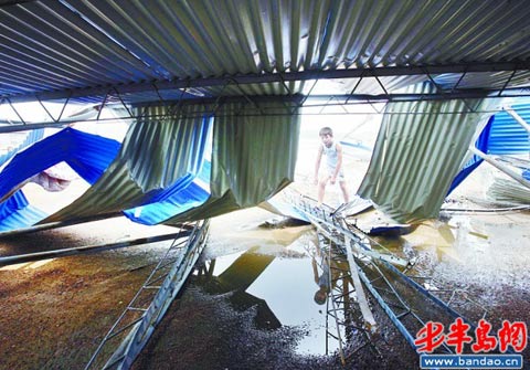 12��������Ϯ�ൺ �ķ������ȵ���������(��ͼ)