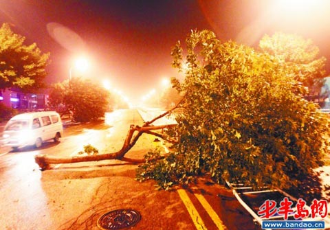 12��������Ϯ�ൺ �ķ������ȵ���������(��ͼ)