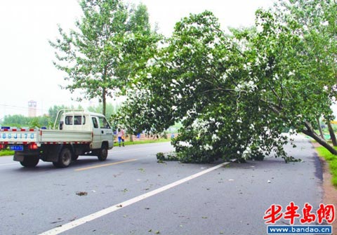 12��������Ϯ�ൺ �ķ������ȵ���������(��ͼ)