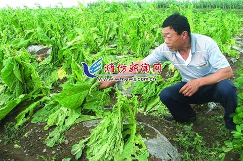 ��������Ϯ��ɽ������������ ��������Ķ���� 