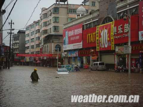 ����������������  �׸������ɫԤ������