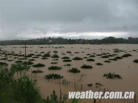 ����������������  �׸������ɫԤ������