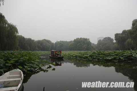 �������������������� ������������