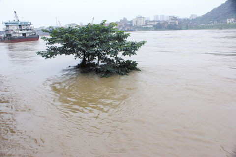 �Ĵ��˱��кϽ���ӭ�������ˮλ