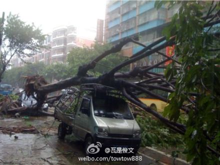 ΢��ֱ��̨�硰Τɭ�ء���������