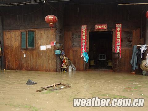 �ܡ�Τɭ�ء�Ӱ�� ���ݶ�����ǿ����