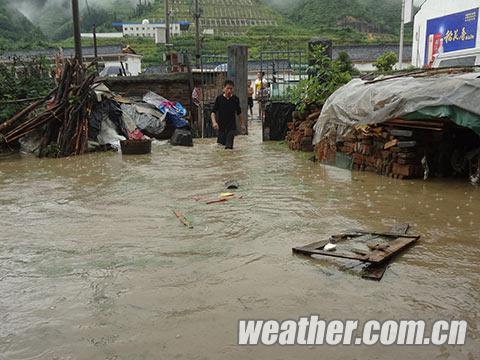 �ܡ�Τɭ�ء�Ӱ�� ���ݶ�����ǿ����