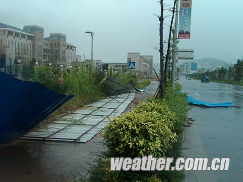 ��Τɭ�ء�Я�������Ϯ ���ݸ���������