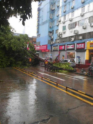 ΢��ֱ��̨�硰Τɭ�ء���������