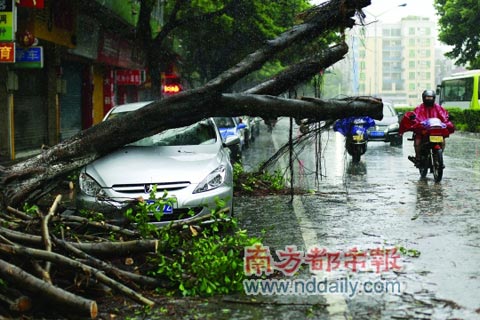 ��Τɭ�ء������㶫˳�� �������10����