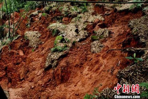 �Ĵ����ݰ׽�����ɽ�廬�� ת�ƾ���56��