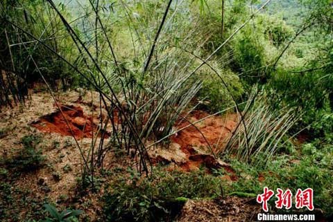 �Ĵ����ݰ׽�����ɽ�廬�� ת�ƾ���56��