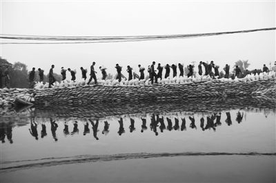 ���������Ž���Ӧ������������Ԥ������